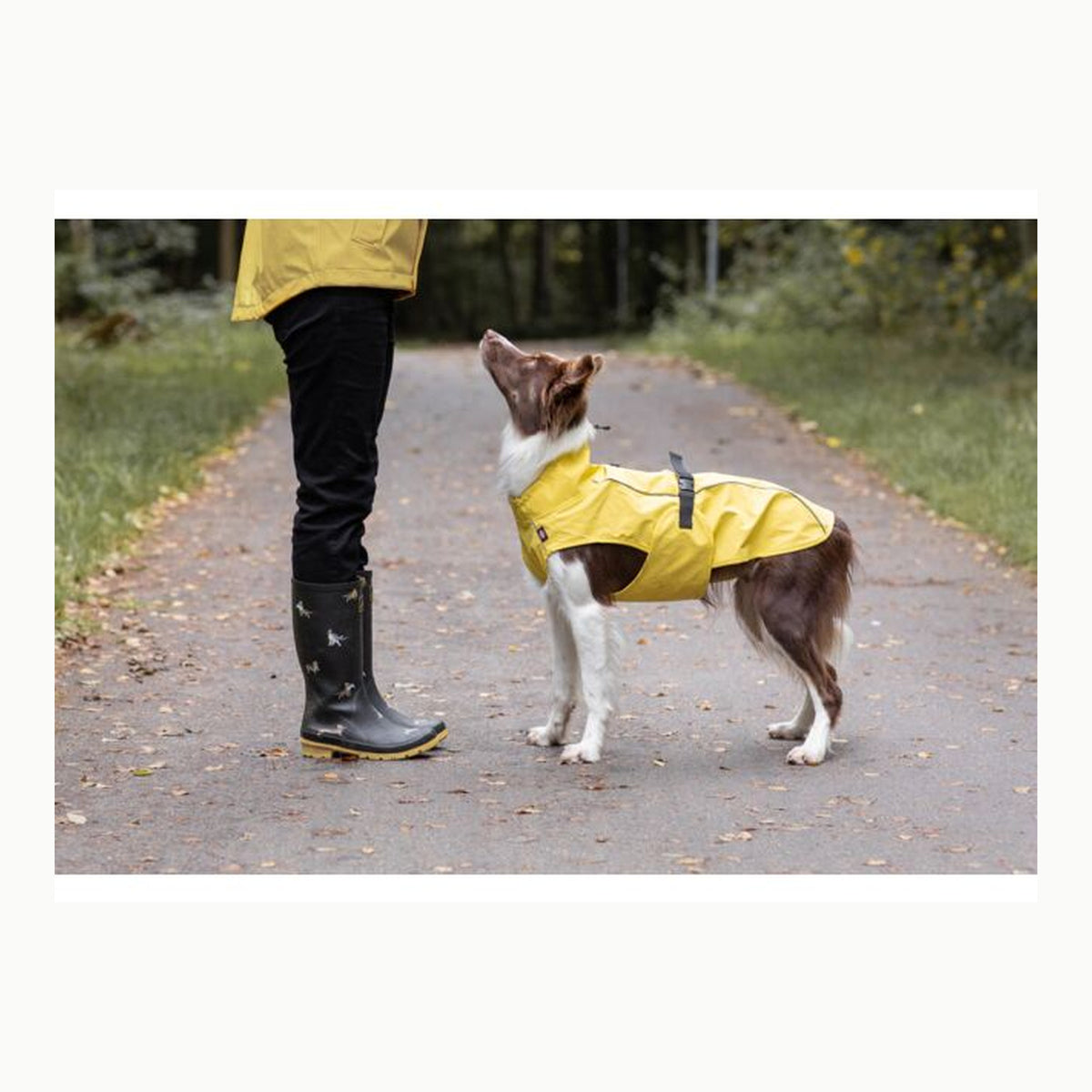 TRIXIE Impermeable Vimy para Perros