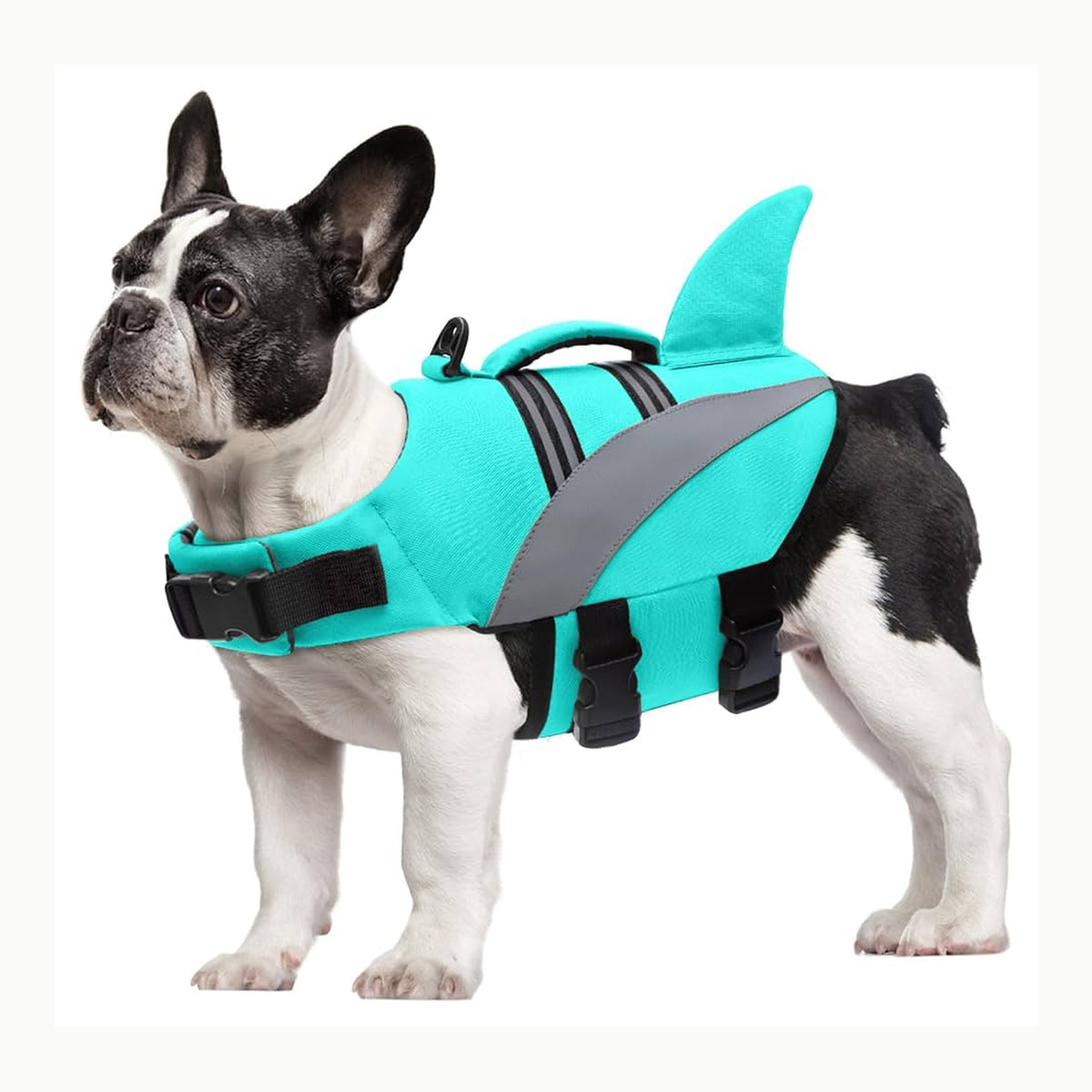 Chaleco Salvavidas XL Oslueidy Chaleco Salvavidas para Perros Chaleco
