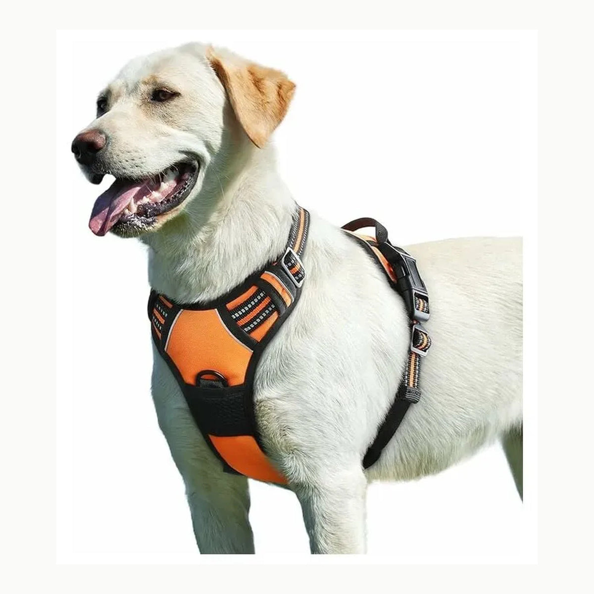 Eagloo Arnes Perro Grande Mediano, Arnes Antitirones Perro