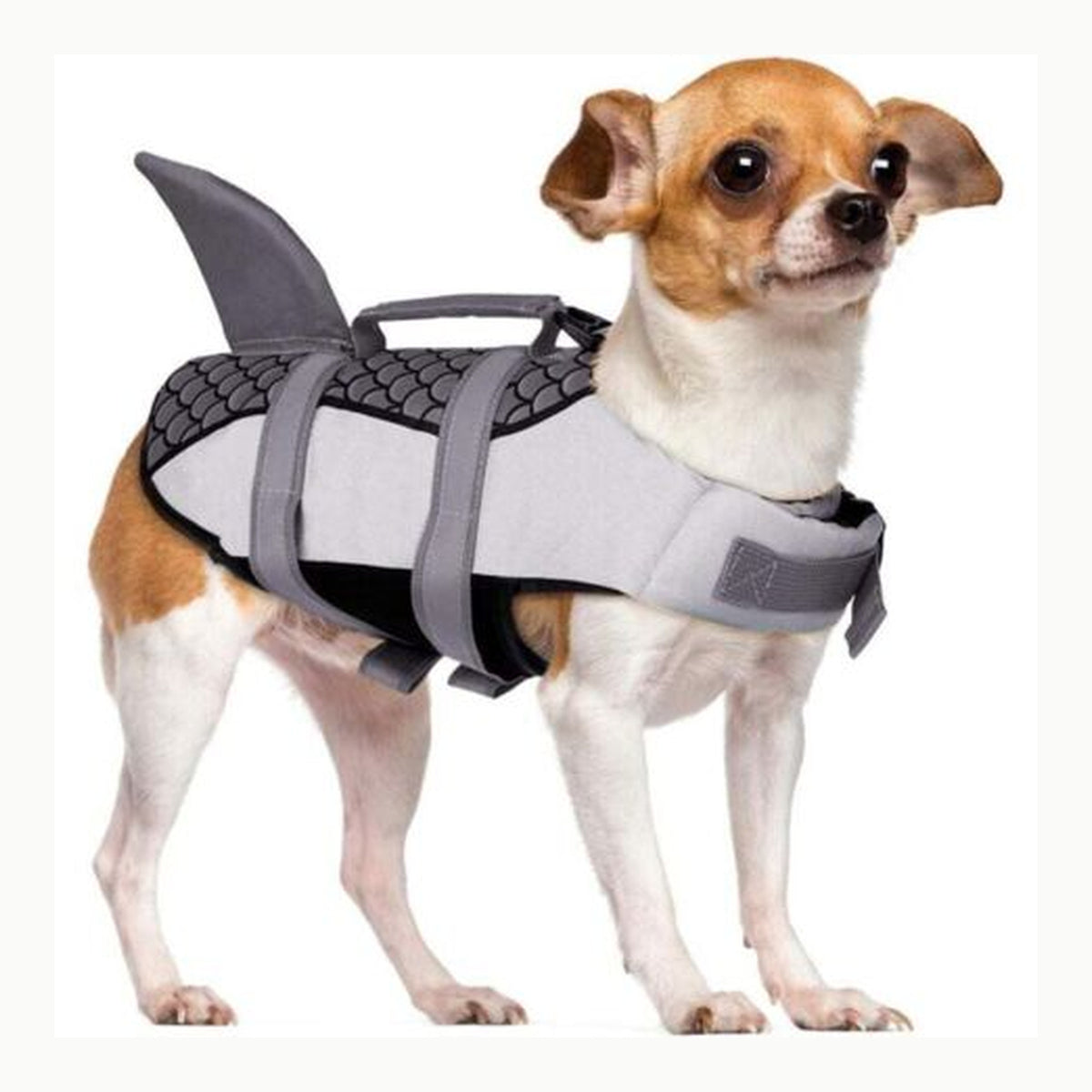 CITÉTOILE Chaleco de rescate de tiburón para perro pequeño y grande