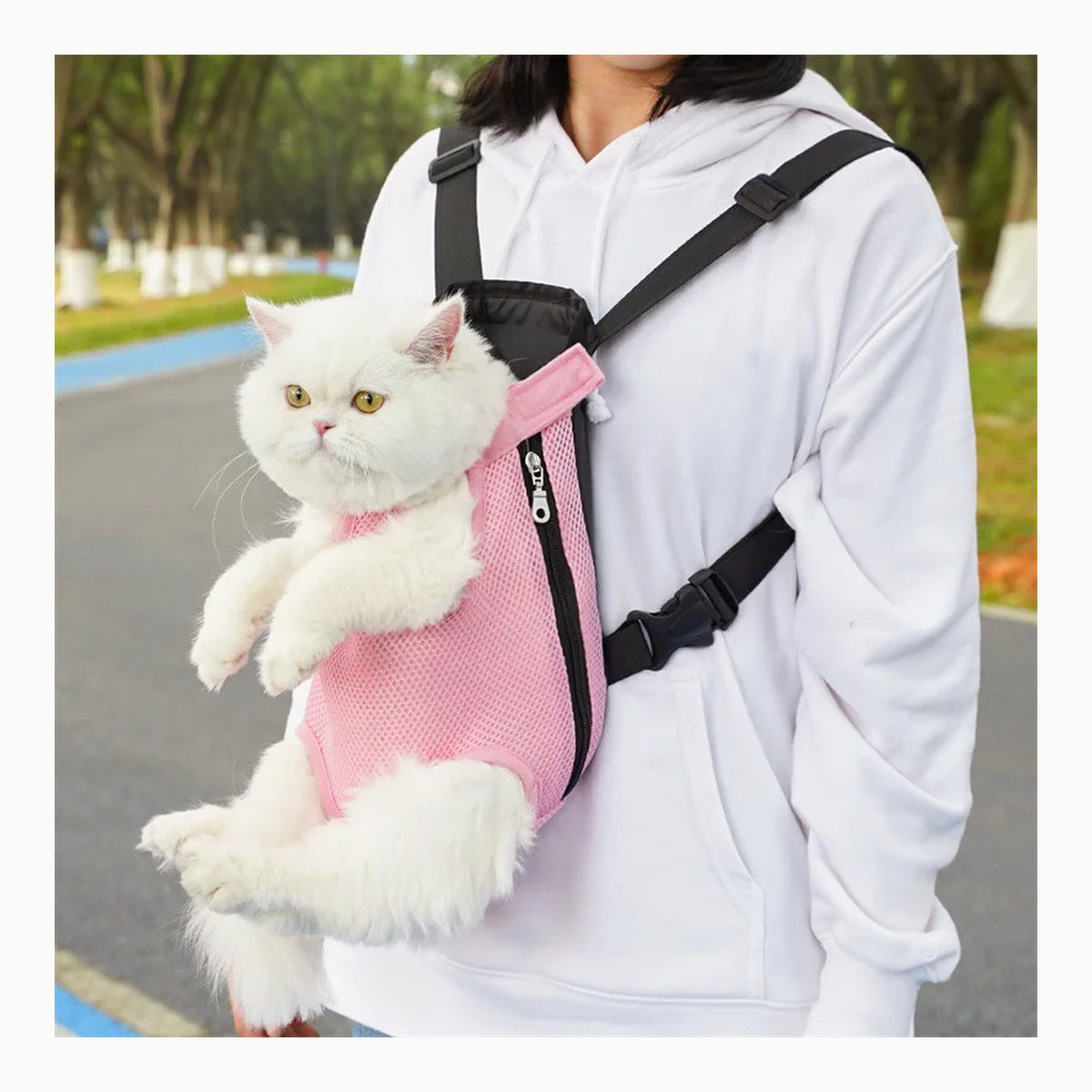 ALLSOPETS Mochila para Perros Pequeños y Medianos – Transportín