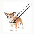 Arnés de control frontal HALTI - Para evitar que tu perro tire de la