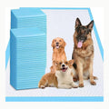 Amazon Basics Hunde-Pinkeltücher für das Töpfchentraining