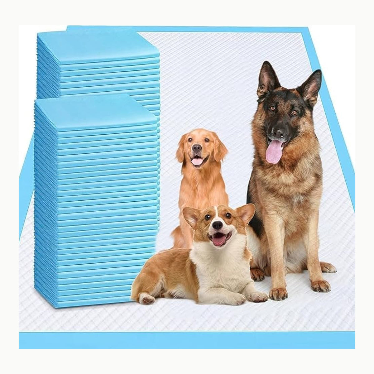 Amazon Basics Hunde-Pinkeltücher für das Töpfchentraining