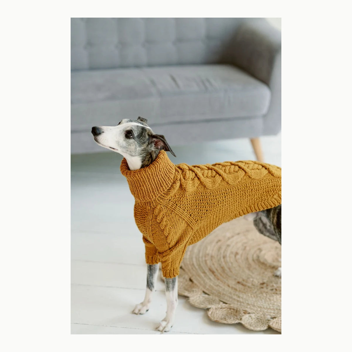 Jersey Whippet, Pijamas Whippet Suéter Whippet Abrigo de Invierno