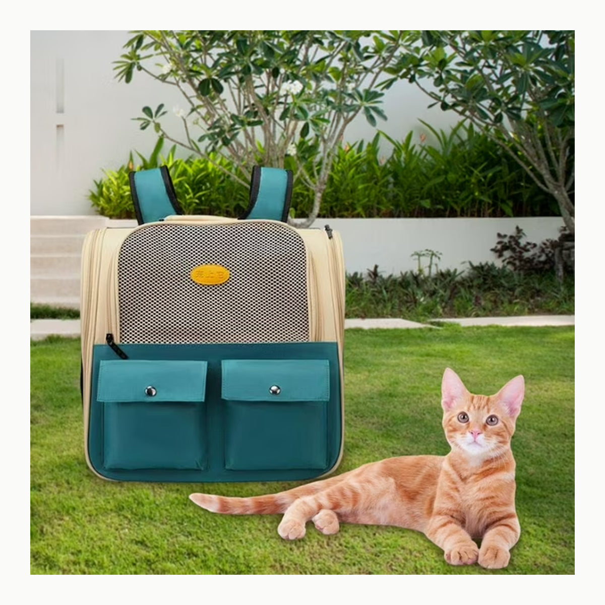 Transportín Plegable Bibykivn Transportín Perro Gato, Bolsa de