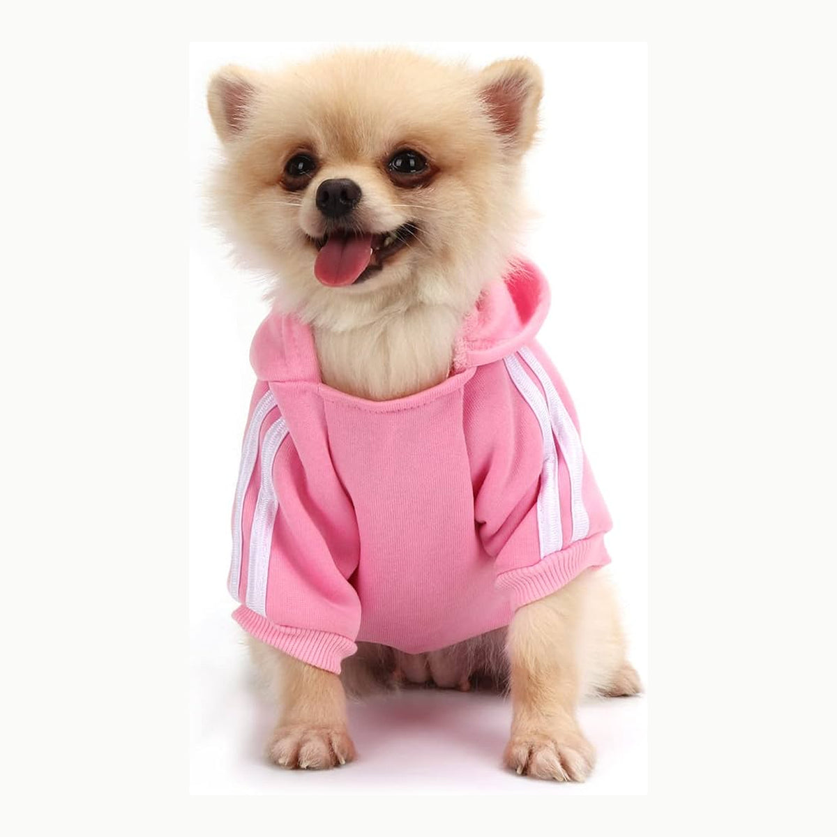 QiCheng&LYS Dog Hoodie,Jersey Perros Sudadera Perro Ropa