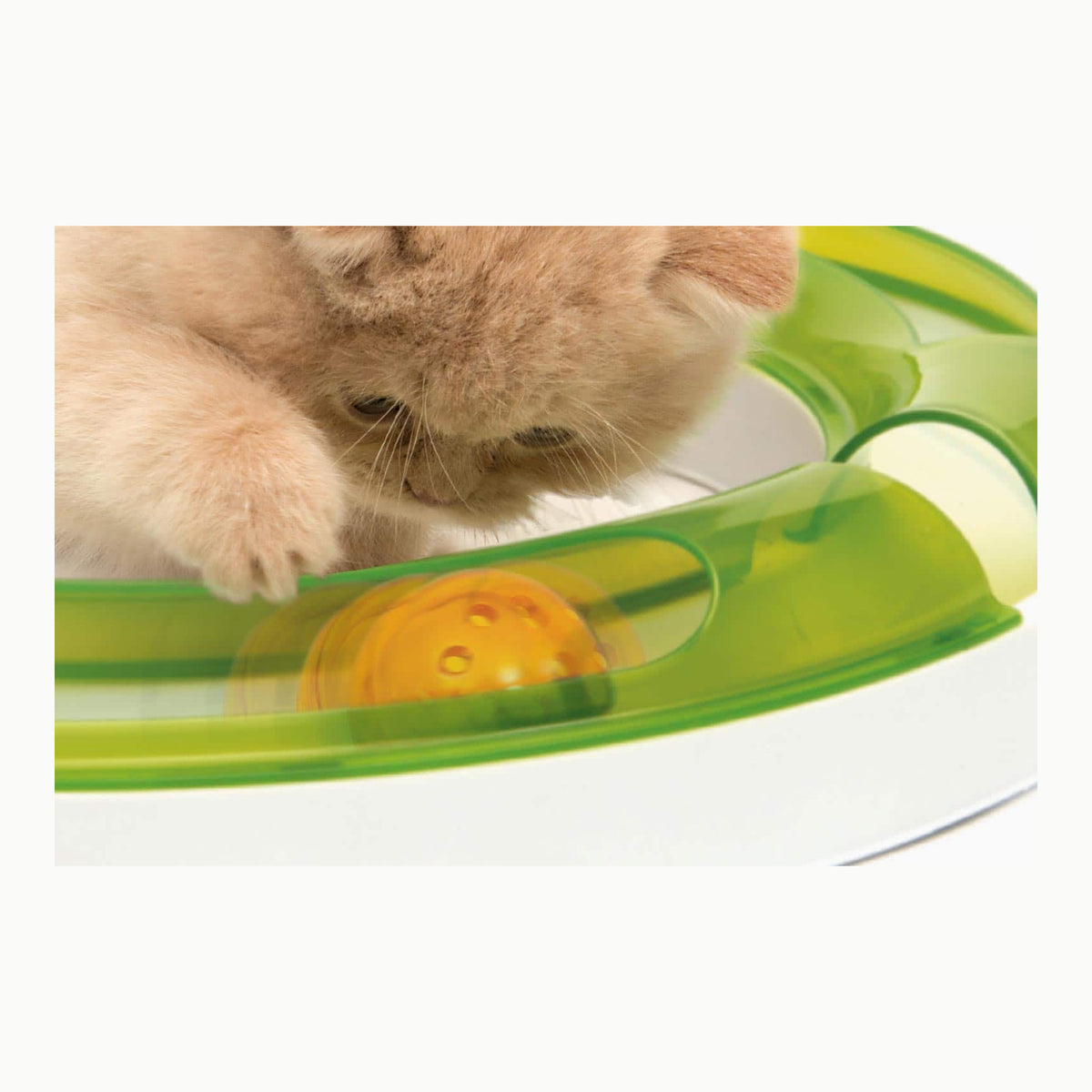 Catit Design Senses Spielschiene, Play Circuit, inklusive Ball, für