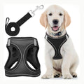 EcoEarth Arnés pequeño negro Arnés para Perros con Correa - Pequeño