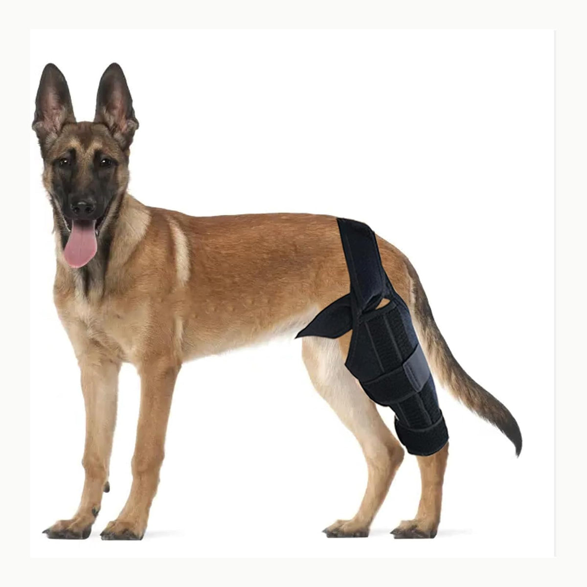 DKDDSSS Protector de Rodilla para Perros - Rodillera Perro Ajustable