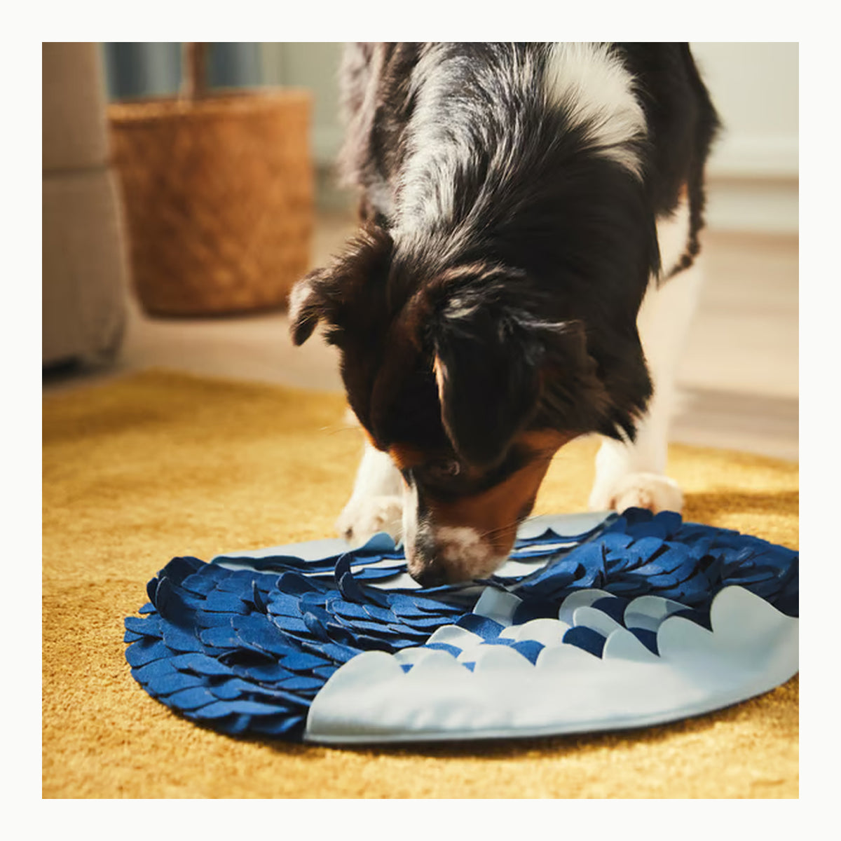 Alfombra Olfativa Alfombra Olfato Perro, MXTIMWAN Snuffle Mat para