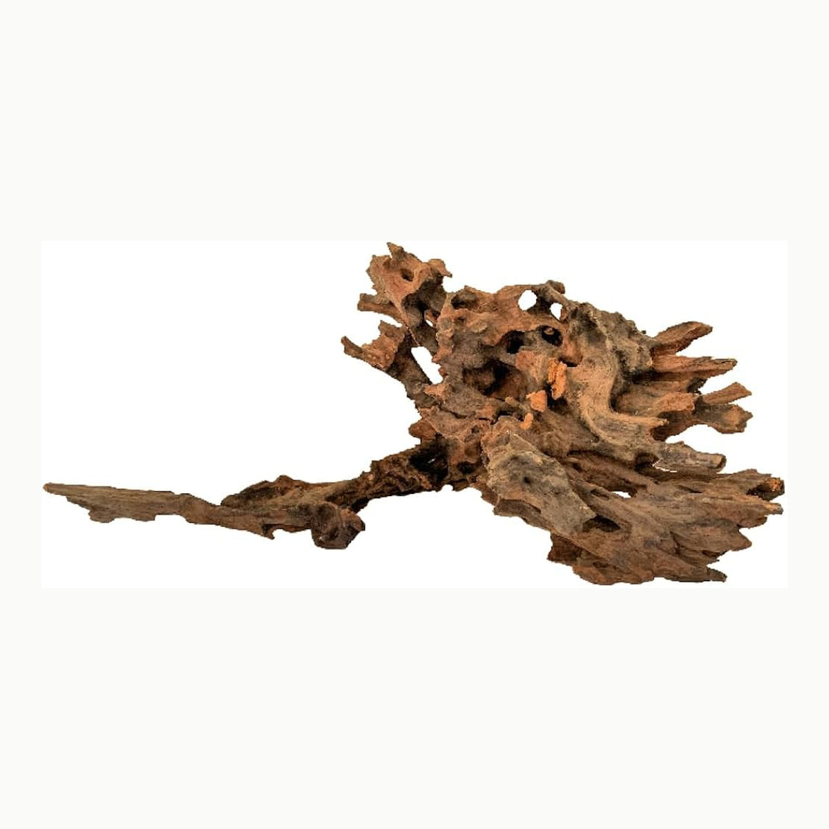 Amtra Legno Mystic Wood Decoración Natural Para Acuarios, Paludarios