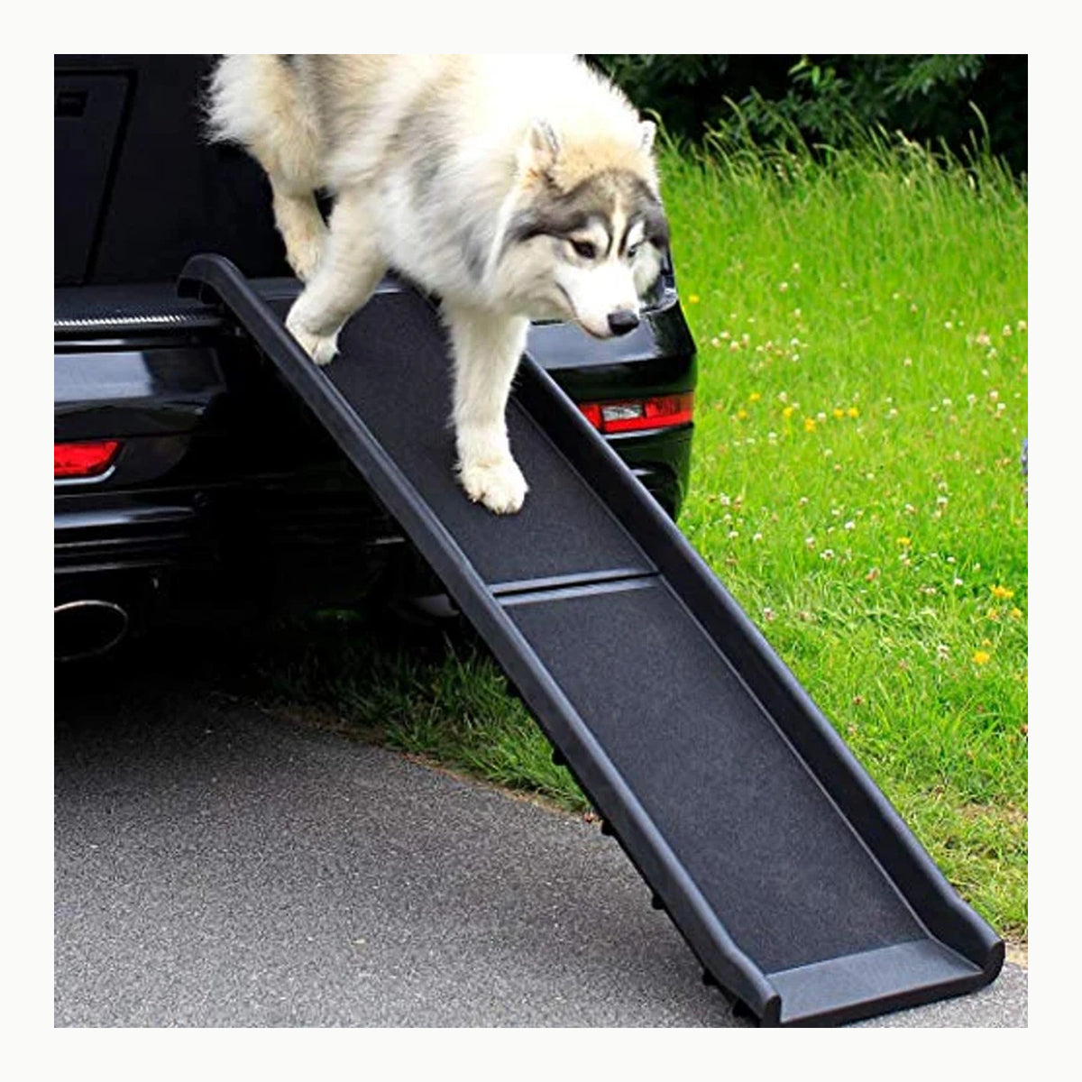 lionto Rampa para Perros Escalones para Perros Rampa para Coches