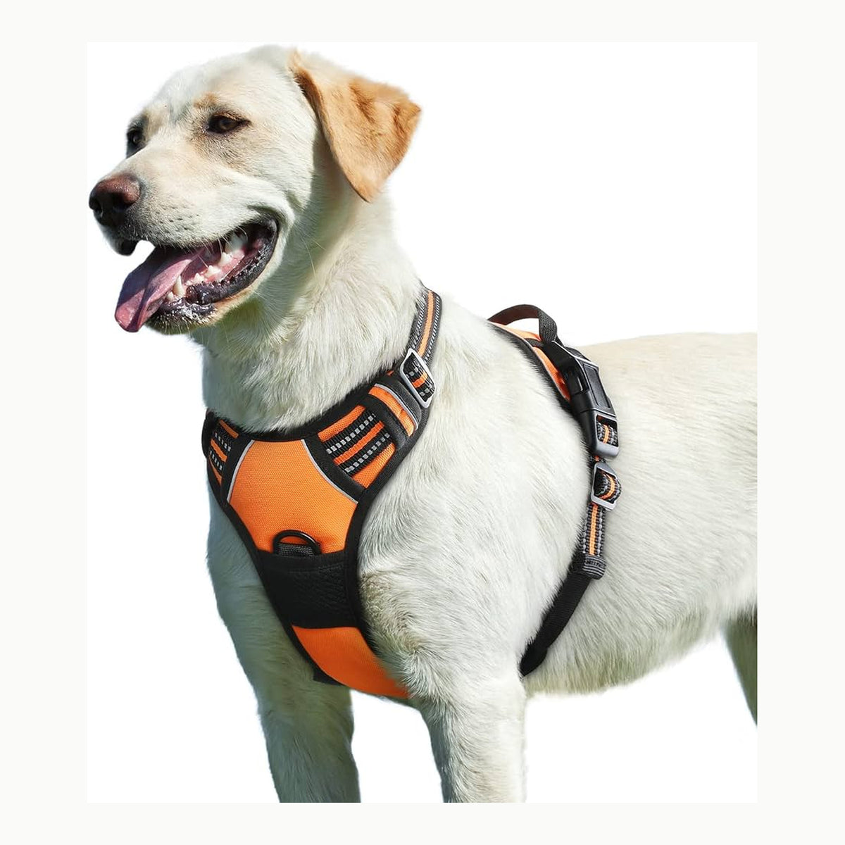 Eagloo Arnes Perro Mediano, Arnes Antitirones Perro antiescape