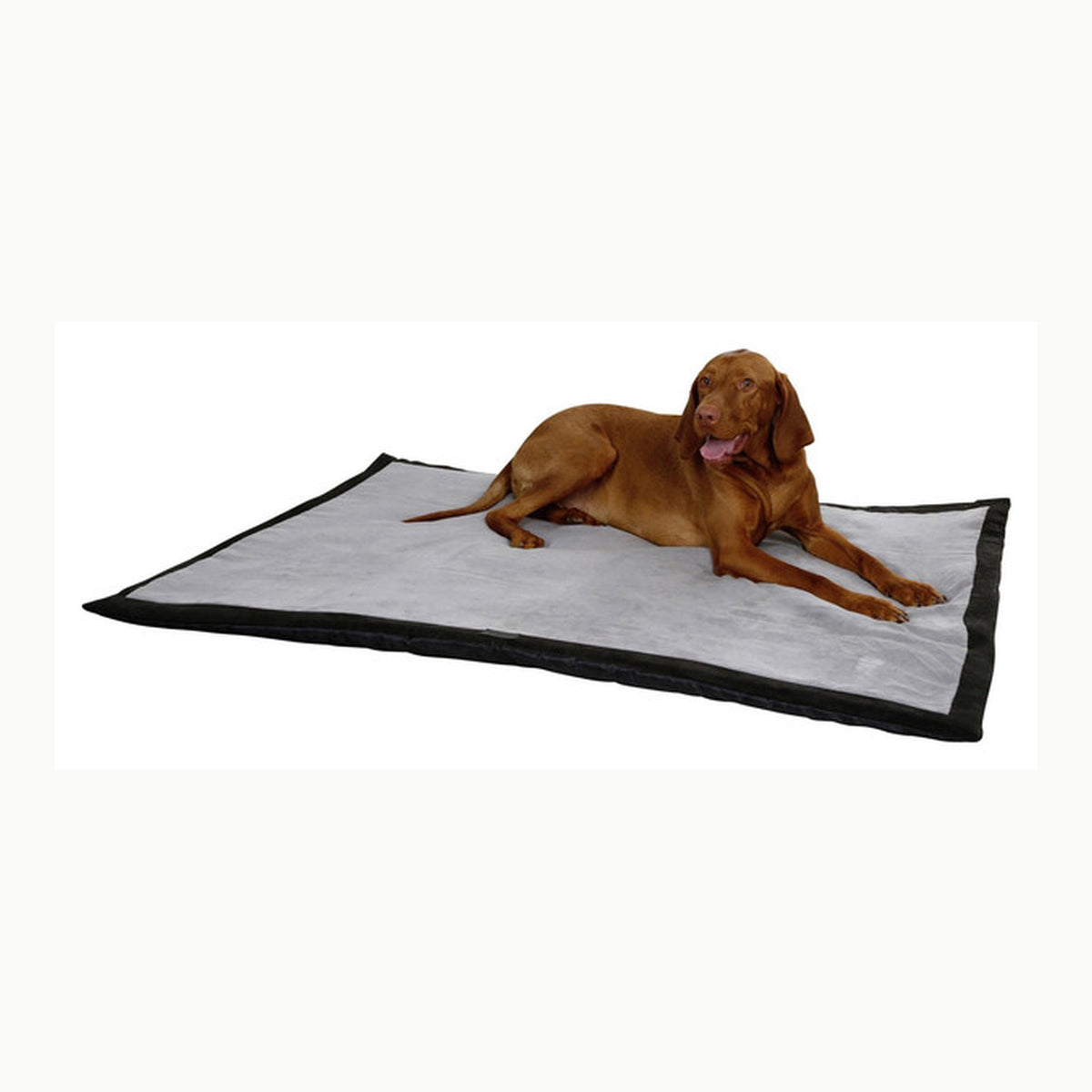 Pfotenschutz Active XL Kerbl Pet Pfotenschutz Active Gr. XL