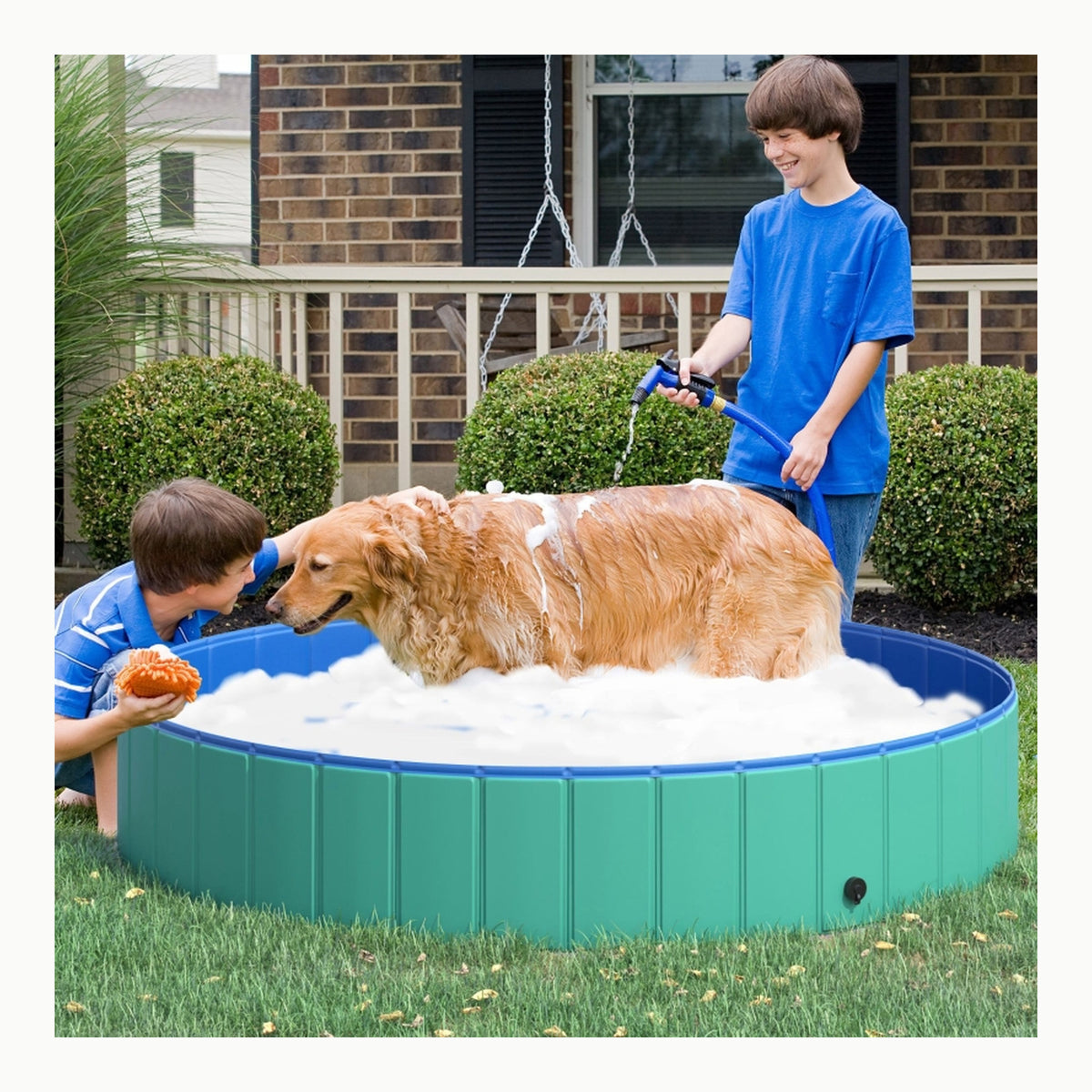 Piscina Desmontable para Perros Grandes y Pequeños - 100x30