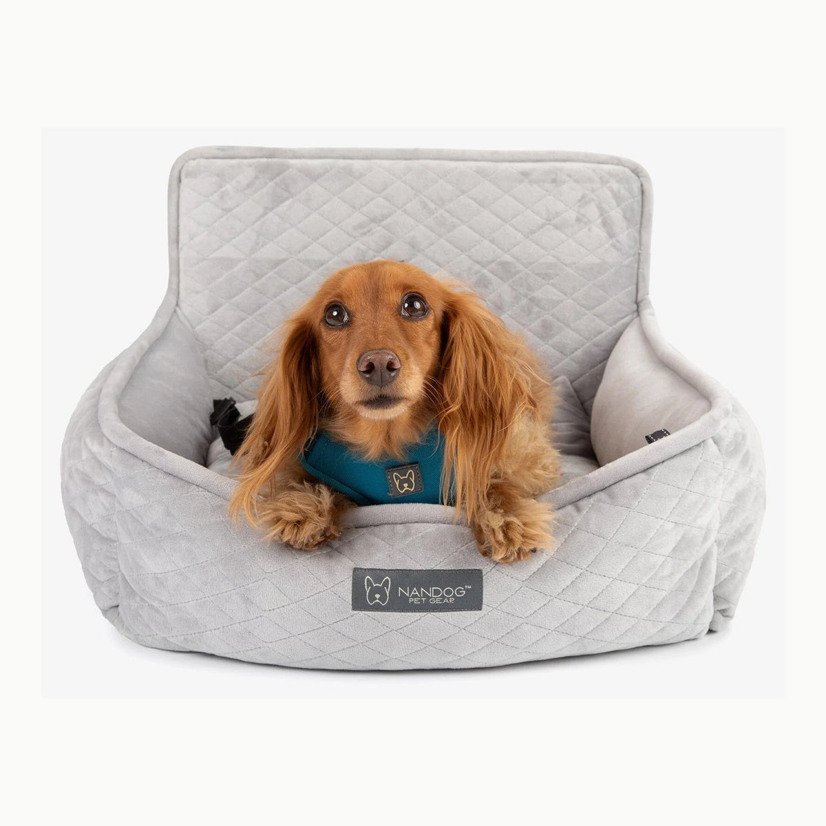 Asiento de Coche para Perro Grande de Menos de 25 kg o 2 Perros