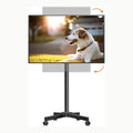 ML55A XINLEI Soporte TV Ruedas, Soporte TV Móvil para Television de 21
