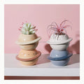 Realure 20 Pezzi Vasi Terracotta per Succulente 4.5x4 cm,Vasetti per