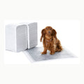 Amazon Basics Trainingspads für Hunde und Welpen, auslaufsicheres