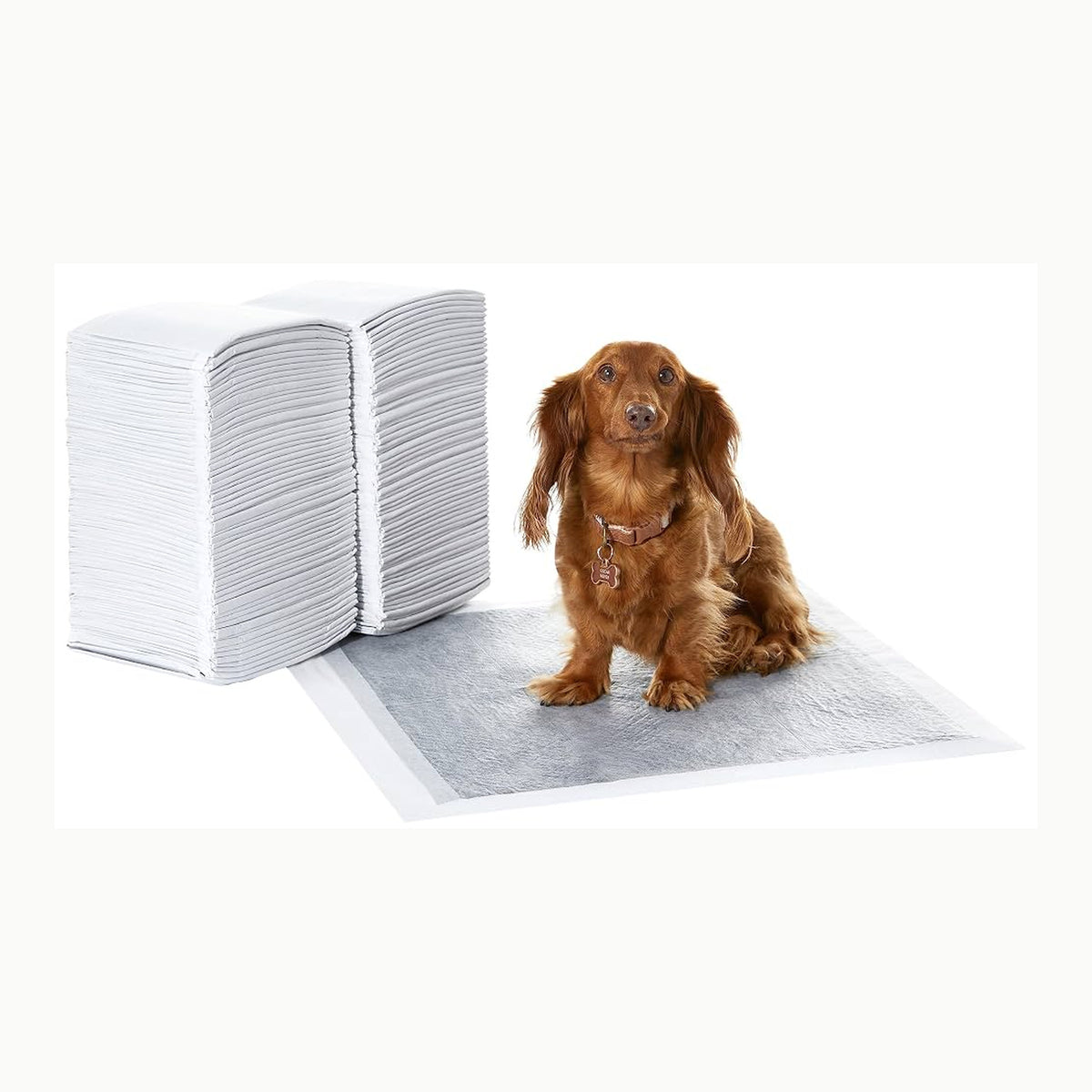 Amazon Basics Trainingspads für Hunde und Welpen, auslaufsicheres