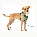 Easy Walk Harness PetSafe Arnés para Perros Easy Walk