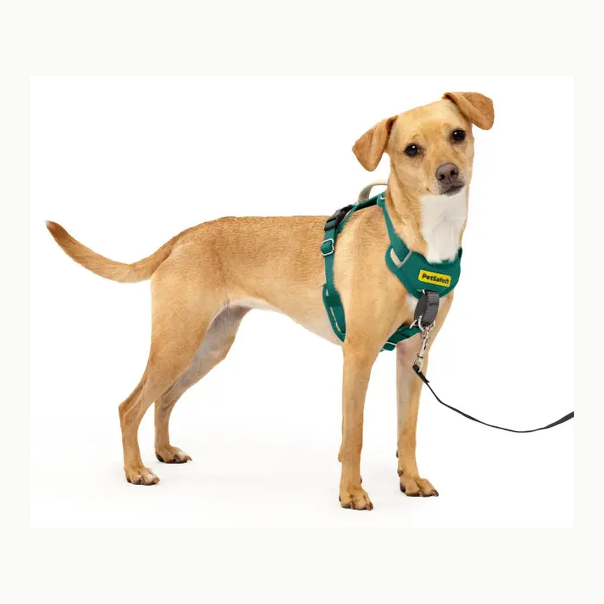Easy Walk Harness PetSafe Arnés para Perros Easy Walk